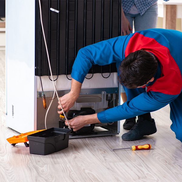 what are the common refrigerator repair services in Winona